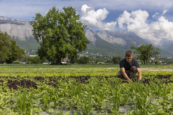 Florian Giraud,  lauréat de l'appel à candidatures de la Métropole, en train de cultiver sa terre. 