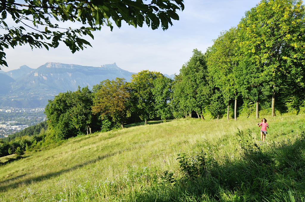 le parc HubertDubedout Grenoble Alpes Métropole